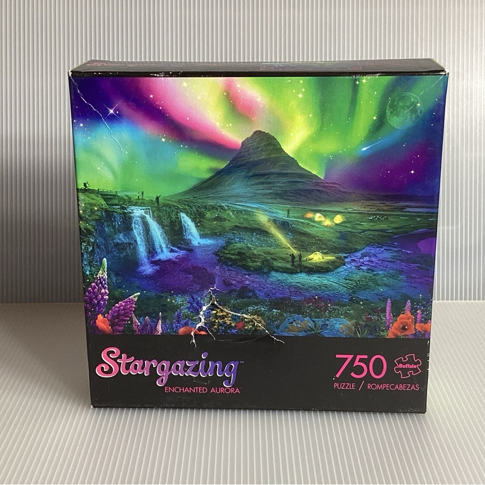 Stargazing Enchanted Aurora 750 Piece Puzzle